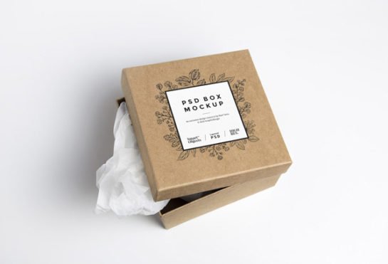 Download Square Cardboard Box Mockup - mockupsfinder